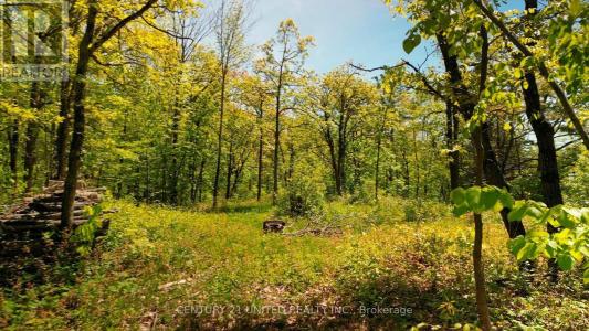 0 NORTHEYS BAY ROAD, North Kawartha, Ontario K0L 2H0, Kanada