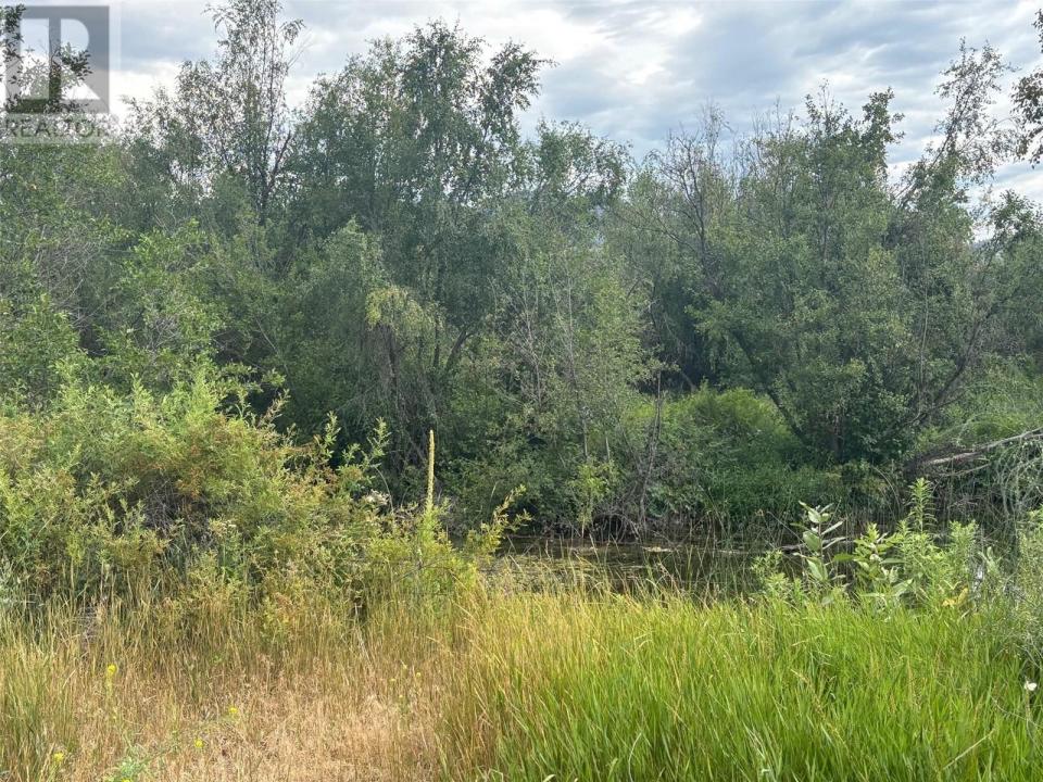 LOT 395A 96 STREET, Oliver, Columbia Britannica V0H 1V0, Canada