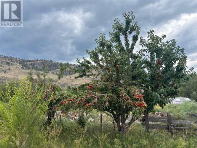 LOT 395A 96 STREET, Oliver, British Columbia V0H 1V0, Canada