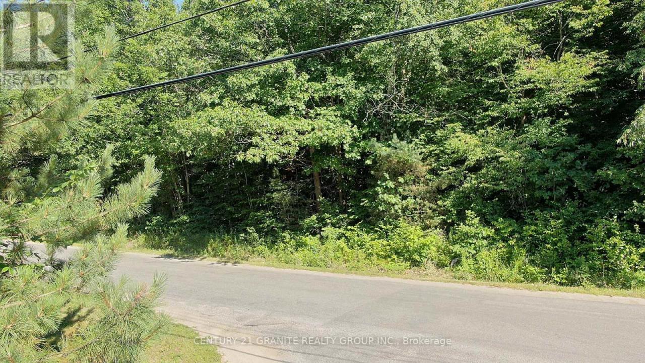 0 MAXWELL SETTLEMENT ROAD, Bancroft (bancroft Ward), Ontario K0L 1C0, Canada