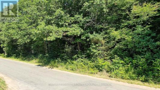 0 MAXWELL SETTLEMENT ROAD, Bancroft (bancroft Ward), Ontario K0L 1C0, Canada