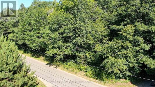 0 MAXWELL SETTLEMENT ROAD, Bancroft (bancroft Ward), Ontario K0L 1C0, Canada