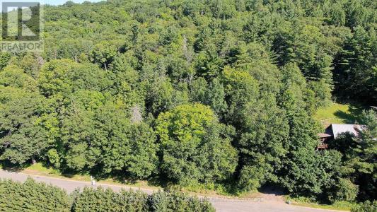 0 MAXWELL SETTLEMENT ROAD, Bancroft (bancroft Ward), Ontario K0L 1C0, Canada