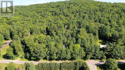 0 MAXWELL SETTLEMENT ROAD, Bancroft (bancroft Ward), Ontario K0L 1C0, Canada