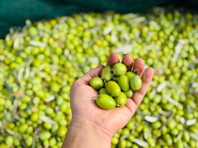 strada provinciale, Modica, Sicilia 97015, Ý