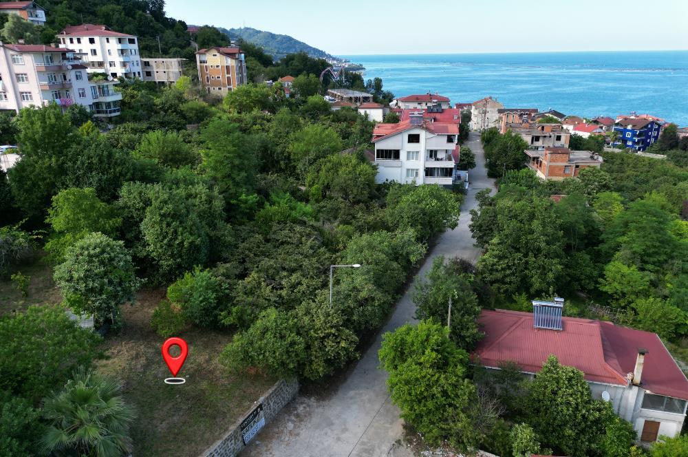 Ordu, טורקיה 