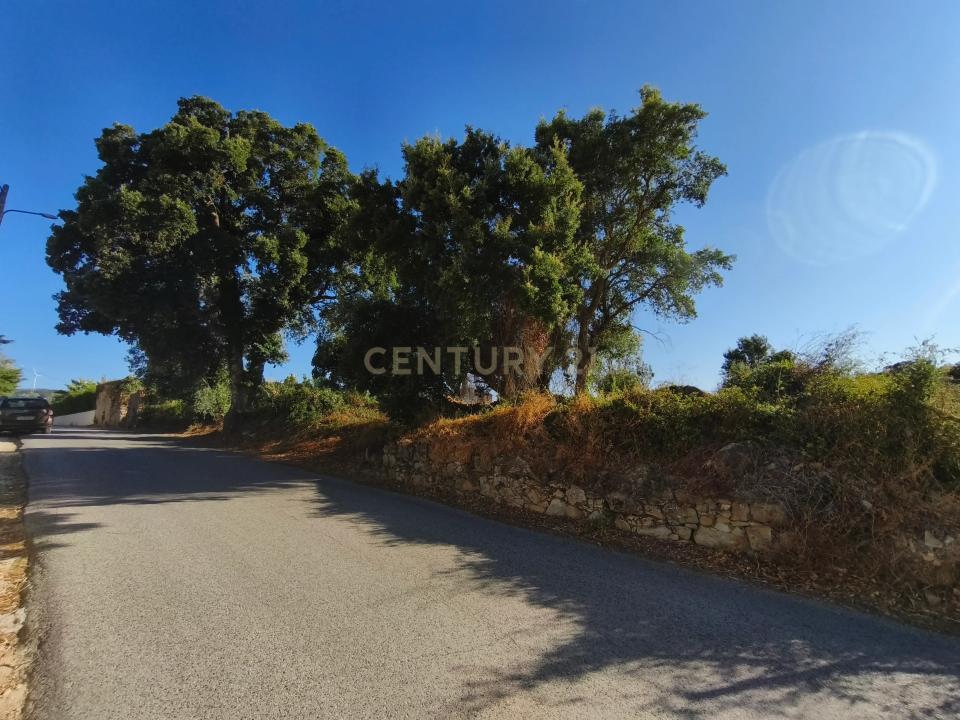 Alenquer, Lisbon 2580, Portugal