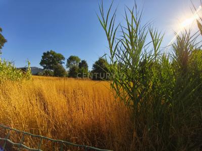 Alenquer, Lisbon 2580, Portugal