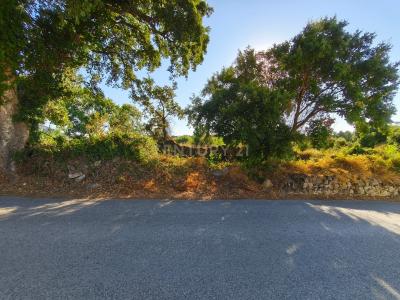 Alenquer, Lisbon 2580, Portugal