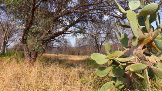 Midrand, 고텡, 남아프리카