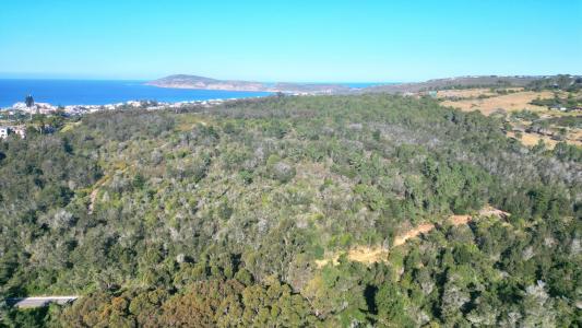Plettenberg Bay, Western Cape, África Do Sul