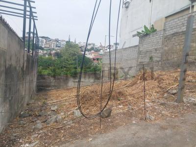 Bellavista , Guayaquil, Guayas 00001, Ecuador