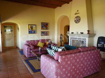 Arroyo de la cristina, fraccionamiento Las palmas 118, int. 9,, Chapala, חליסקו 45920, מקסיקו