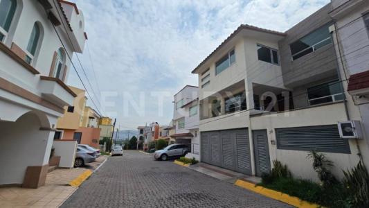 11133 Gardenia ,, Tlalnepantla De Baz, Estado De México 54050, México