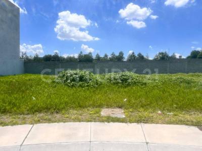 Del Encino 600,, El Marqués, 克雷塔羅 76246, 墨西哥