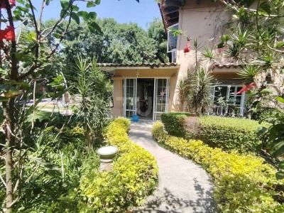 Cuernavaca, Morelos 62059, Mexico