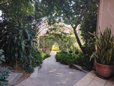 Cuernavaca, Morelos 62059, Mexiko