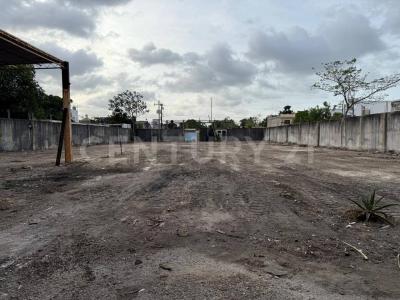 Cancún/Benito Juárez, Кинтана-Роо 77517, Мексика