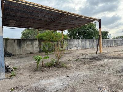 Cancún/Benito Juárez, Кинтана-Роо 77517, Мексика