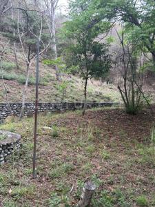 Santiago, ヌエボ・レオン 67303, メキシコ