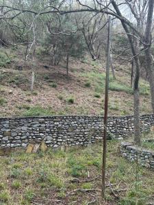 Santiago, ヌエボ・レオン 67303, メキシコ