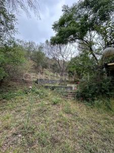 Santiago, ヌエボ・レオン 67303, メキシコ