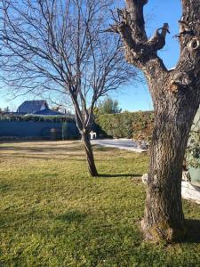 Vistalba, Mendoza 5509, Argentina