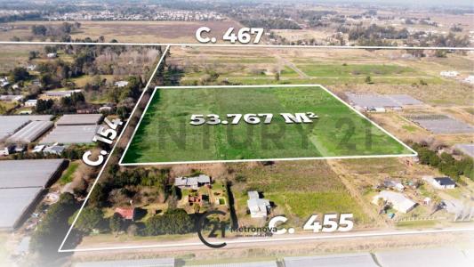 154 entre 455 y 467 , La Plata, GBA Sur 1896, Argentina