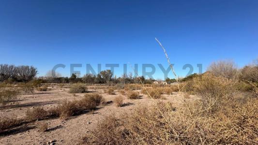 Chacras De Coria, Mendoza 5505, Argentine