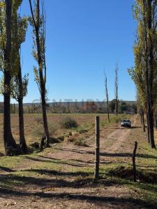 San Rafael, Mendoza 5600, Argentina
