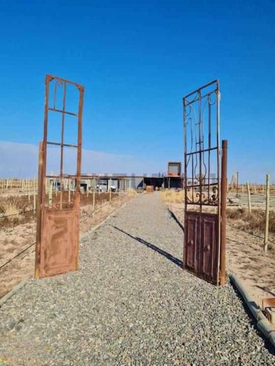 Lavalle, Mendoza 00001, Arjantin