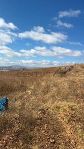 INMEDIACIONES CEMENTERIO ALTO ARUNI , Sucre, Chuquisaca 00001, ボリビア