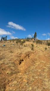 INMEDIACIONES CEMENTERIO ALTO ARUNI , Sucre, Chuquisaca 00001, ボリビア