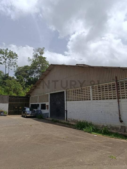 Carrizal, Miranda 1203, ベネズエラ