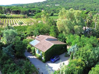 St Tropez, Provence-Alpes-Côte D'Azur 83990, Pháp