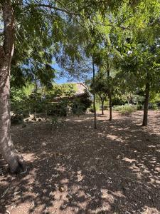 St Tropez, Provence-Alpes-Côte D'Azur 83990, Pháp