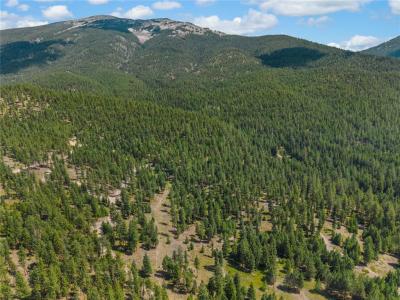 NHN Lot 16A Corona Court, Plains, Montana 59859