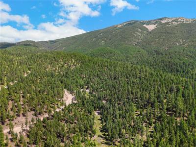 NHN Lot 16B Corona Road, Plains, Montana 59859