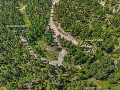 NHN Lot 16B Corona Road, Plains, Montana 59859, Estados Unidos