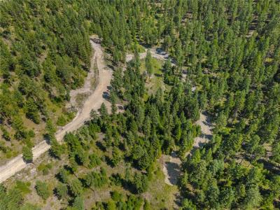 NHN Lot 16B Corona Road, Plains, Montana 59859, Estados Unidos