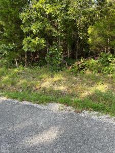 1220 Cedar Lake Drive, Horseshoe Bend, Арканзас 72512, Соединенные Штаты