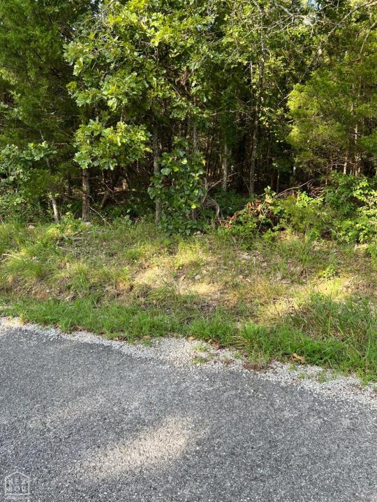 1220 Cedar Lake Drive, Horseshoe Bend, أركنساس 72512, الولايات المتحدة