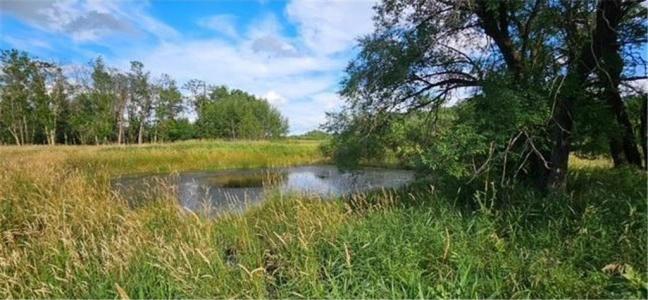 Willow Road NE, Carlos, مينيسوتا 56319, الولايات المتحدة