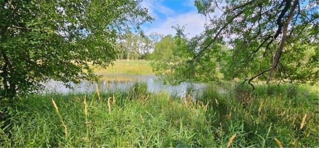 Willow Road NE, Carlos, مينيسوتا 56319, الولايات المتحدة