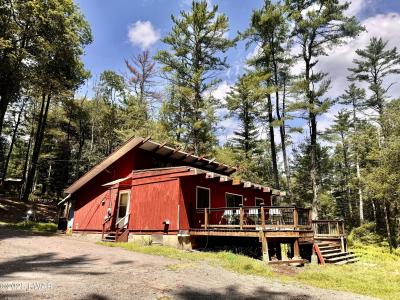 307 Fawn Lake Drive, Hawley, بنسلفانيا 18428, الولايات المتحدة