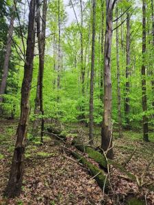 0 Race Road, Greene, 纽约州 13778, 美国