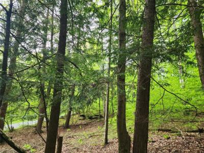 0 Race Road, Greene, 纽约州 13778, 美国