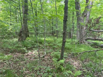 0 28 7/16-28 9/16 Street, Birchwood, Wisconsin 54817, États-Unis