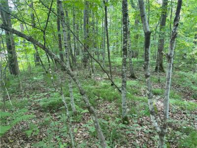 0 28 7/16-28 9/16 Street, Birchwood, Wisconsin 54817, États-Unis