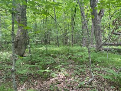 0 28 7/16-28 9/16 Street, Birchwood, Wisconsin 54817, États-Unis